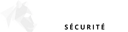 Logo Panthera securite